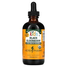 Kids Black Elderberry Черная Бузина Herb Pharm 120 мл