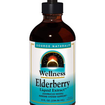 Wellness Elderberry Liquid Extract Черная Бузина Source