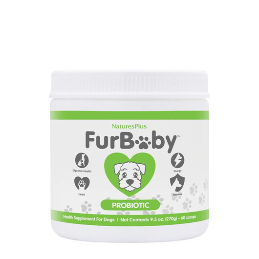 Основное фото товара FurBaby Probiotic For Dogs Основное фото товара Natures Plus, Пробиотики, FurBaby Probiotic For Dogs, 269 г