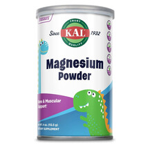 Dinosaurs Magnesium Powder Магний KAL 113 г