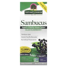 Sambucus Black Elderberry 12000 mg Сироп из Бузины 480 мл Sambucus Black Elderberry 12000 mg Сироп из Бузины 480 мл