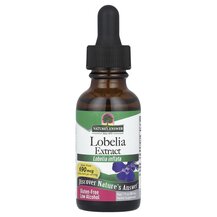 Lobelia 240 mg Лобелия 240 мг Nature's Answer 30 мл