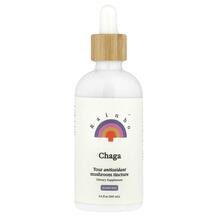 Гриби Чага Chaga Alcohol-Free Rainbo 100 мл