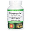 Фото товара Natural Factors, Мастиковая смола, Gastro-Assist, 60 капсул