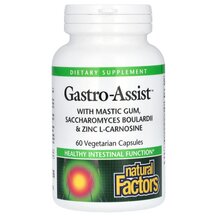 Gastro-Assist Мастиковая смола Natural Factors 60 капсул