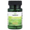 Фото товара Лактобактерии, L. Plantarum Probiotic 10 Billion CFU, 30 капсул