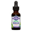 Фото товара Organic Echinacea Goldenseal Extract Alcohol-Removed Orange, Эхин