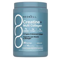 Creatine + Multi Collagen Bio-Peptides Protein Unflavored