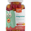 Фото товару Magnesium Gummies Mixed Flavor Фото товару Chapter One, Magnesium Gummies Mixed Flavor, Магній, 60 таблеток