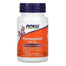 Pycnogenol 100 mg Пикногенол 100 мг NOW Foods 60 капсул
