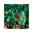 Фото складу Herb Pharm, Organic Asian Ginseng, Женьшень, 120 мл