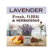 Фото складу Multi-Surface Concentrate - Lavender Scent Фото складу Multi-Surface Concentrate - Lavender Scent, Засіб для миття полів