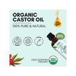 Фото складу Organic Castor Oil Фото складу Herbion Naturals, Organic Castor Oil, Рицинова олія, 100 мл
