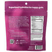 Фото состава SuperBelly Gut-Building Hydration Drink Mix Powder Acai, Электрол