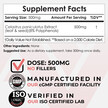 Фото складу Celastrus paniculatus Extract Powder, Підтримка мозку, 30 г