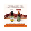 Фото складу Immune Alert Фото складу Herbs, Etc., Immune Alert, Підтримка імунітету, 30 мл
