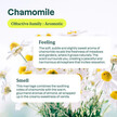 Фото состава Ромашка, Baby Leaves Fabric Softener - Soothing Chamomile, 40 Loa