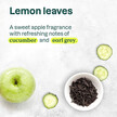 Фото состава Super Leaves Body Cream Regenerating - Lemon Leaves Фото состава Крем, Super Leaves Body Cream Regenerating - Lemon Leaves, 240 мл