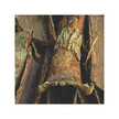 Фото складу Jamaican Dogwood Фото складу Herb Pharm, Jamaican Dogwood, Трави, 120 мл
