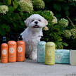 Фото складу Furry Friends Deodorizing Shampoo - Lavender Фото складу Furry Friends Deodorizing Shampoo - Lavender, Шампунь, 473 мл