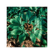 Фото складу Herb Pharm, Male Vitality, Підтримка Лібідо, 120 мл