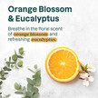 Фото состава Super Leaves Stick Deodorant - Orange Blossom & Eucalyptus Фото состава Super Leaves Stick Deodorant - Orange Blossom & Eucalyptus, Д