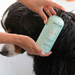 Фото складу Furry Friends Shooting Oatmeal Shampoo - Unscented, Шампунь, 473 