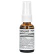 Фото состава Wellness Colloidal Silver Throat Spray Фото состава Серебро, Wellness Colloidal Silver Throat Spray, 29.57 мл