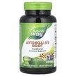 Фото применение Корень астрагала 470 мг, Astragalus Root 470 mg, 180 капсул