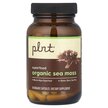 Фото применение Plnt, Ирландский морской мох, Organic Sea Moss, 90 капсул