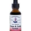 Фото применение Поддержка органов дыхания, Sinus and Lung Formula, 30 мл