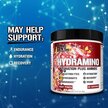 Фото применение EVLution Nutrition, Аминокислоты, HydrAmino Fruit Punch, 246 г