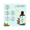 Фото використання Organic Castor Oil Фото використання Herbion Naturals, Organic Castor Oil, Рицинова олія, 100 мл