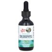 Фото применение Хлорофилл, Vegan Chlorophyll Liquid Drops Peppermint 50 mg, 60 мл