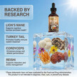 Фото применение Mushroom Liquid Drops with Lions Mane Turkey Tail Cordyceps, Гриб