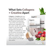 Фото применение Clean Sourced Collagens + Creatin Фото применение Коллагеновые пептиды, Clean Sourced Collagens + Creatin, 15 шт