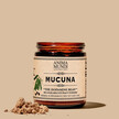 Фото використання Mucuna - The Dopamine Bean Фото використання Mucuna - The Dopamine Bean, Підтримка дофаміну, 5 oz