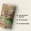 Фото применение The Wellness Company, Брокколи, Organic Broccoli Sprouts, 60 капс