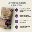 Фото применение The Wellness Company, Бычья печень, Bison Liver, 90 капсул
