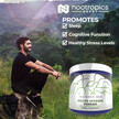 Фото використання Bacopa Monnieri Powder | 24% Bacosides, Бакопа Моньє, 60 г