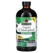 Фото використання Nature's Answer, Liquid Chlorophyll 100 mg, Хлорофіл, 480 мл