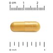 Фото применение Turmeric Curcumin Phytosome Meriva 500 mg Фото применение Куркумин, Turmeric Curcumin Phytosome Meriva 500 mg, 60 капсул