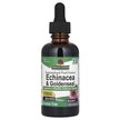 Фото применение Желтокорень, Echinacea & Goldenseal Alcohol-Free 1000 mg, 60 