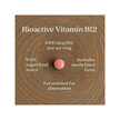 Фото використання Fermented Vitamin B12 Фото використання NewChapter, Fermented Vitamin B12, Метилкобаламін B12, 30 таблето