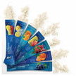 Фото применение Electrolyte Powder Variety Pack Фото применение Dr. Berg, Электролиты, Electrolyte Powder Variety Pack, 28 Стиков