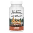 Фото применение Mushrooms Cordyceps Energy Support Фото применение Host Defense Mushrooms, Грибы Кордицепс, Cordyceps, 60 капсул