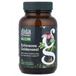 Фото применение Gaia Herbs, Эхинацея и Желтокорень, Echinacea Goldenseal, 60 капс