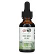 Фото використання Organic Holy Basil Leaf Liquid Extract Alcohol Free 590, Базилік,