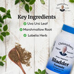 Фото використання Bladder Formula Фото використання Bladder Formula, Підтримка жовчного міхура, 100 капсул