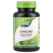 Фото використання Nature's Way, Choline 500 mg, Холін 500 мг, 100 таблеток